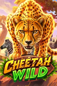 Cheetah Wild